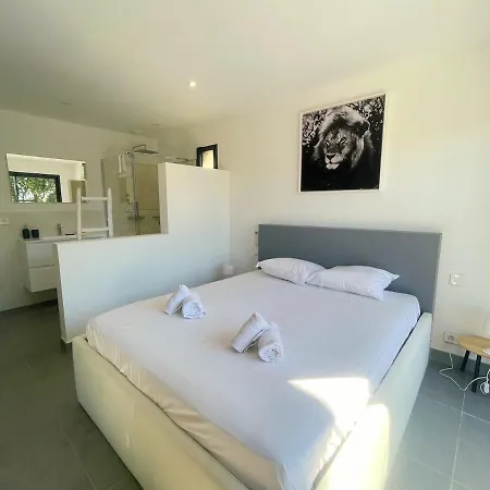 Architect's - 10-12 People - Pool - 4 Bedrooms * Zonza