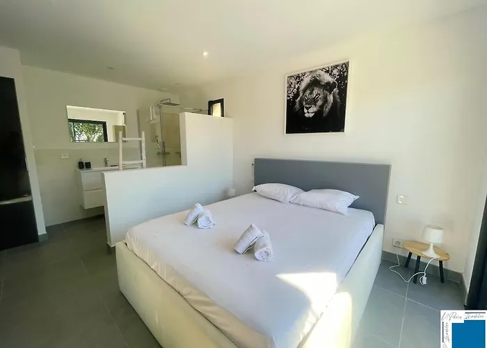 Architect's - 10-12 People - Pool - 4 Bedrooms * Zonza
