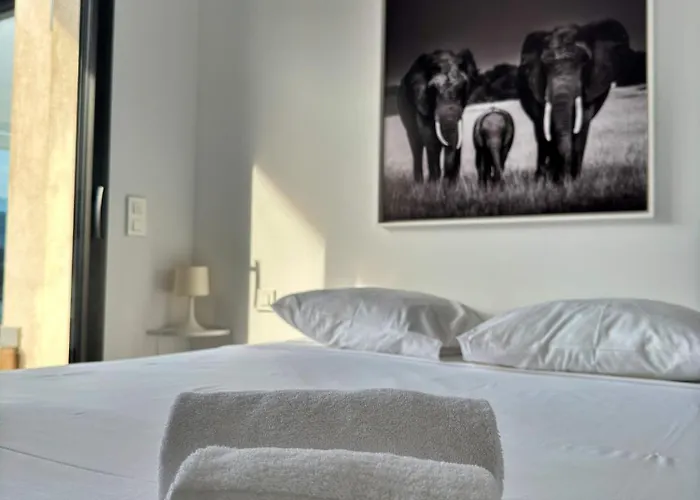 Architect's - 10-12 People - Pool - 4 Bedrooms Βίλα Zonza